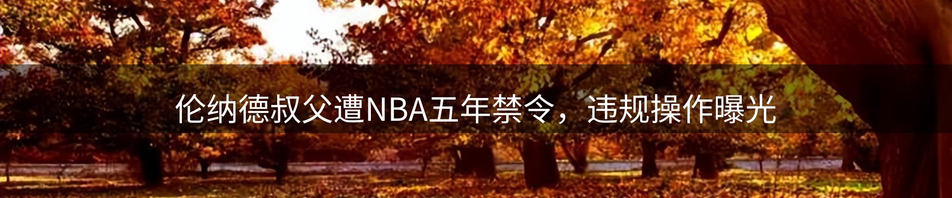 公司盘点